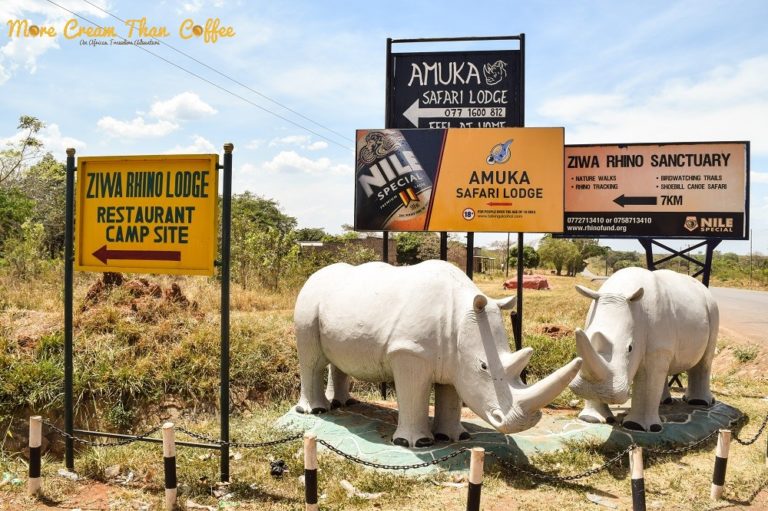 MY UGANDA MEMOIRS VIII: A RHINO CALLED OBAMA