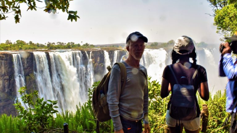 THE ZIMBABWE RETURN (III): WALK THROUGH THE RAINFOREST