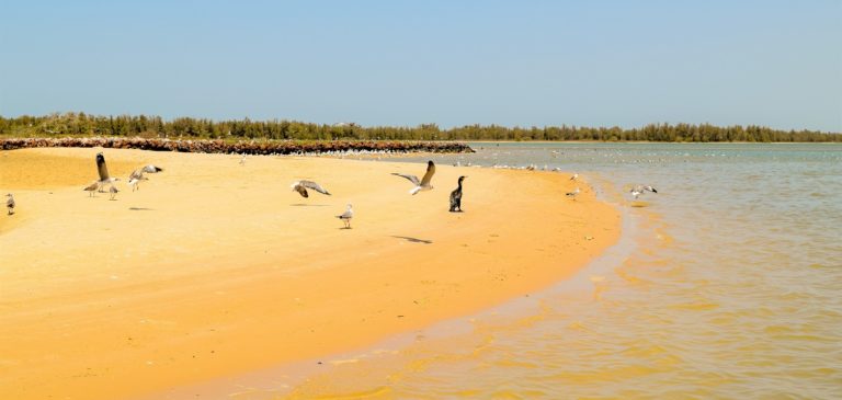 MEMORIES FROM SENEGAL: FAREWELL SAINT LOUIS