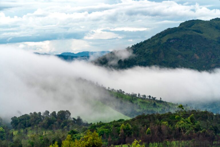 Bvumba – The Mountains of the Mist