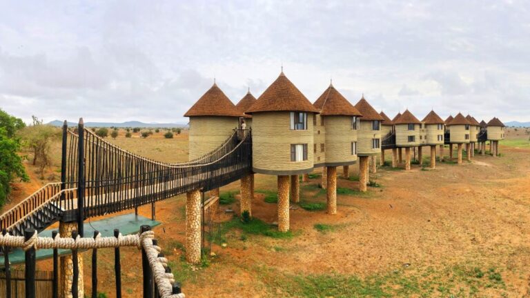 Salt Lick Safari Lodge: A Review By Olusola Otori