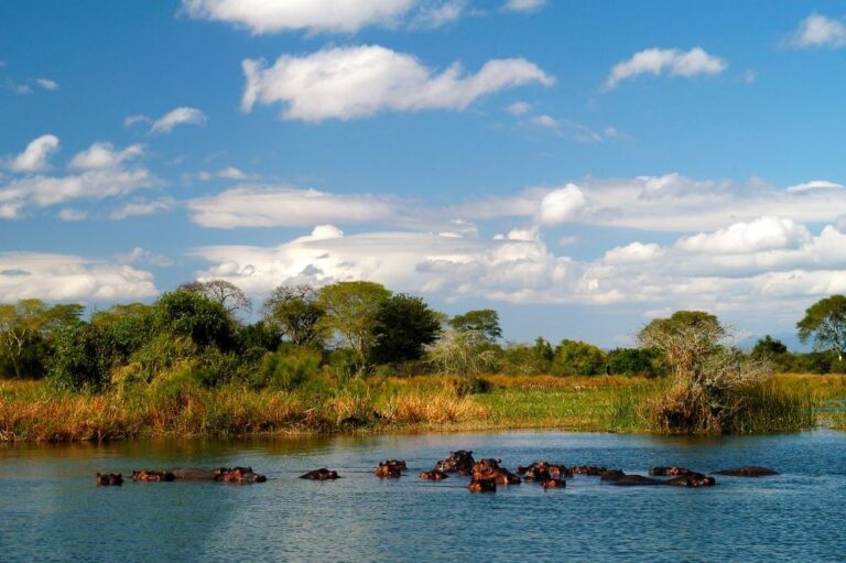 Into the Wild: Our Unforgettable Stay at Mvuu Wilderness Lodge