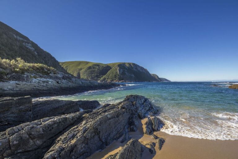 2025 Festive Season Plans Announced for Garden Route National Park, South Africa
