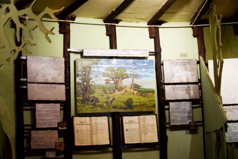 A Glimpse of Hwange: Nature, Soul, and Sanctuary