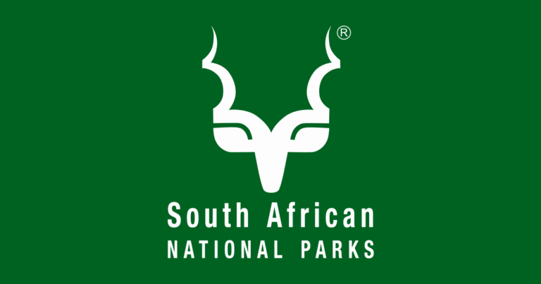 Kruger National Park: Predicted Rainfall & Safety Advisory For Visitors