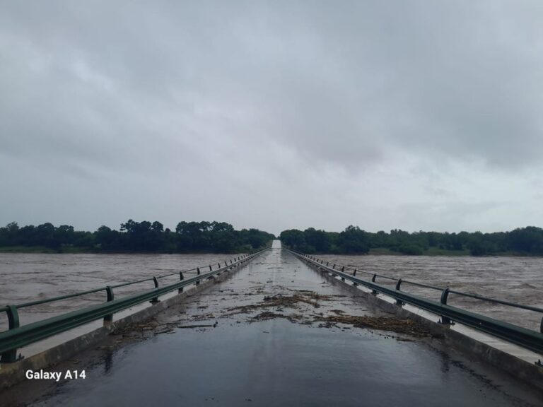 Kruger National Park Floods: Minister de Lille Issues Solidarity Statement