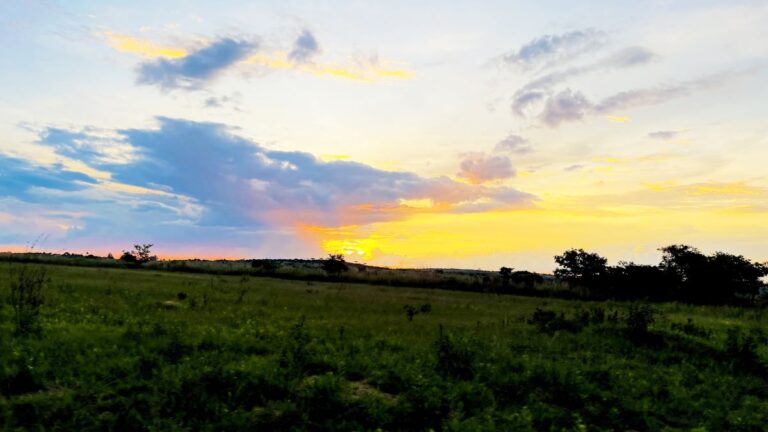 Guruve – Shayabvudzi: Healing in Sunsets