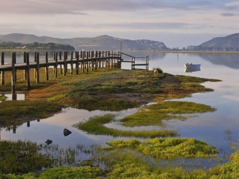 Garden Route: Authorities put Safety Measures in Place amid Peak Season Challenges