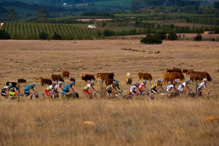 Walking Barefoot Into Africa’s Future: Agritourism With Jacqui Taylor