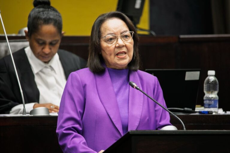 Minister De Lille Highlights 5 Pillars of Tourism Growth Partnership in Budget Vote Speech