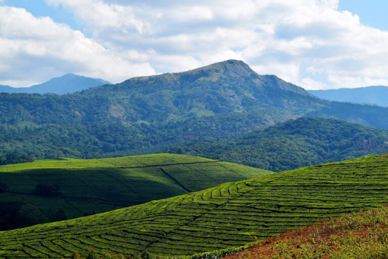 Agro-Tourism: A Quiet Revolution in Sustainable Travel