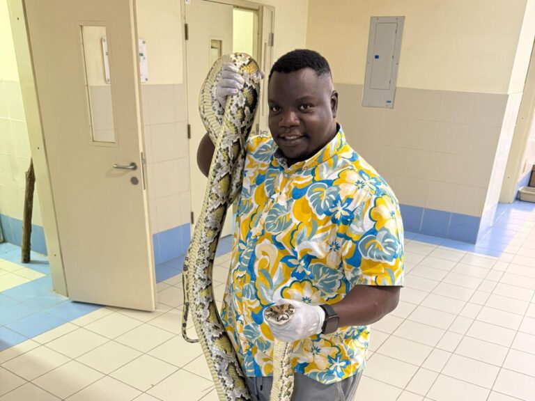 Emmanuel Mukasa: The Snake Whisperer of Uganda
