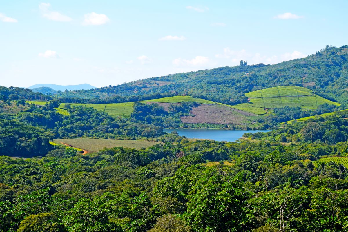 Rooted in the Soil: Africa’s Answer to Overtourism