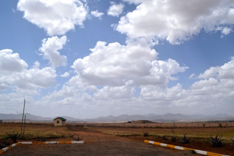 Kidepo: Where Silence Heals & Skies Go on Forever