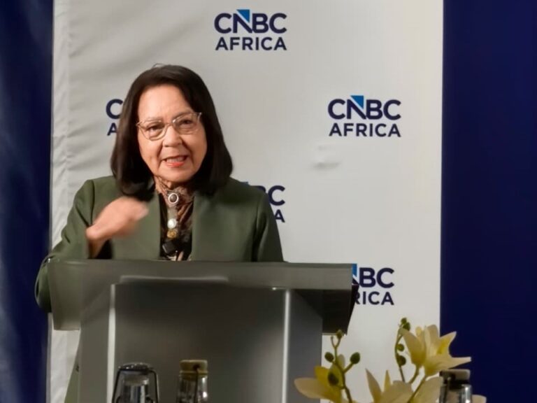 De Lille on Gauteng’s Next Phase: Building Confidence Through Tourism Infrastructure