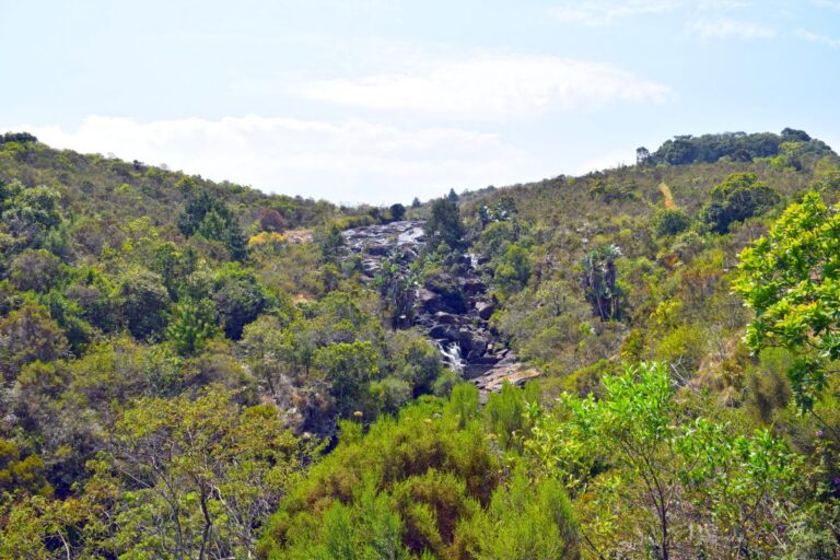 The Toposcope of Nyanga: A Window to the World